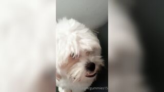 Gummies15 (Saralia aka gummies_15 aka _gummies15) OnlyFans Leaks Colombia 22 yo with a Crazy Imagination 13