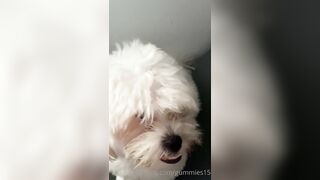 Gummies15 (Saralia aka gummies_15 aka _gummies15) OnlyFans Leaks Colombia 22 yo with a Crazy Imagination 13