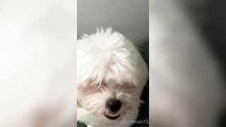 Gummies15 (Saralia aka gummies_15 aka _gummies15) OnlyFans Leaks Colombia 22 yo with a Crazy Imagination 13