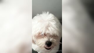 Gummies15 (Saralia aka gummies_15 aka _gummies15) OnlyFans Leaks Colombia 22 yo with a Crazy Imagination 13