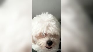 Gummies15 (Saralia aka gummies_15 aka _gummies15) OnlyFans Leaks Colombia 22 yo with a Crazy Imagination 13