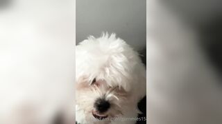 Gummies15 (Saralia aka gummies_15 aka _gummies15) OnlyFans Leaks Colombia 22 yo with a Crazy Imagination 13