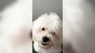 Gummies15 (Saralia aka gummies_15 aka _gummies15) OnlyFans Leaks Colombia 22 yo with a Crazy Imagination 13