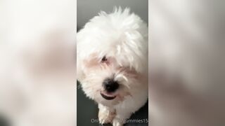 Gummies15 (Saralia aka gummies_15 aka _gummies15) OnlyFans Leaks Colombia 22 yo with a Crazy Imagination 13