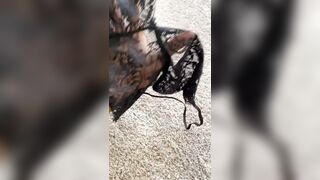 Scarletsilva (Scarlet Silve aka scarletvas aka Scarlet Vas aka Scarletvass) OnlyFans Leaks Fucking Hot Model Actor Porn 63