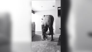 Texasthicc (Forrest aka Bailey Bae aka Texasthic) OnlyFans Leaks Euphoria Thiccaragua Blondie Ass Porn 20