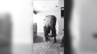 Texasthicc (Forrest aka Bailey Bae aka Texasthic) OnlyFans Leaks Euphoria Thiccaragua Blondie Ass Porn 20