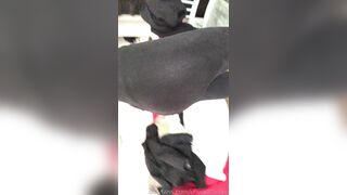 Callmeolivia00 (Olivia Quinn) OnlyFans Leaks 21 yo Italian Bisexual Girl Sweet but Slutty Porn 88