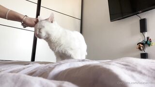 Callmeolivia00 (Olivia Quinn) OnlyFans Leaks 21 yo Italian Bisexual Girl Sweet but Slutty Porn 45