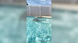 Wilddev (Dev aka devynrose aka Devyn Rose) OnlyFans Leaks Busty Blondie with Big Tits Porn 74