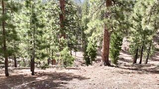 26- Sparksgowildvip (Sparks Go Wild aka sgwofficial) OnlyFans Leaks Simple People with Fun Sexy Twist Porn