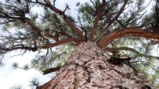 26- Sparksgowildvip (Sparks Go Wild aka sgwofficial) OnlyFans Leaks Simple People with Fun Sexy Twist Porn