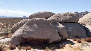 32- Sparksgowildvip (Sparks Go Wild aka sgwofficial) OnlyFans Leaks Simple People with Fun Sexy Twist Porn