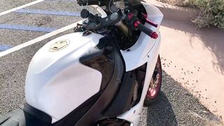 27- Sparksgowildvip (Sparks Go Wild aka sgwofficial) OnlyFans Leaks Simple People with Fun Sexy Twist Porn