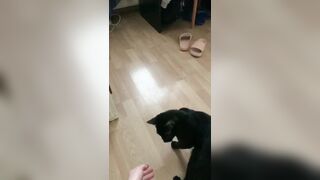 270- Maddiegrey (maddie.grey aka Molodoy_admin aka maddiegray27) OnlyFans Leaks 20 yo Ukrainian Girl Porn 