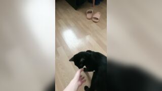 270- Maddiegrey (maddie.grey aka Molodoy_admin aka maddiegray27) OnlyFans Leaks 20 yo Ukrainian Girl Porn 