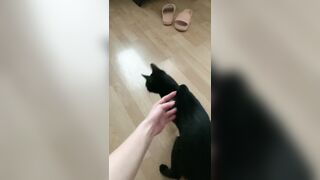 270- Maddiegrey (maddie.grey aka Molodoy_admin aka maddiegray27) OnlyFans Leaks 20 yo Ukrainian Girl Porn 