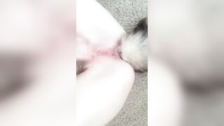 294- Maddiegrey (maddie.grey aka Molodoy_admin aka maddiegray27) OnlyFans Leaks 20 yo Ukrainian Girl Porn 