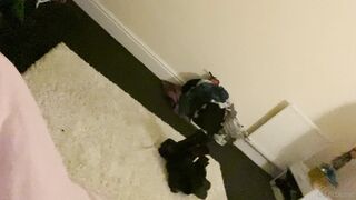 (25)- Lilc0smic (Cosmic aka CosmicCreatures) OnlyFans Leaks Freaky Lil Hippie and Full Time Brat Porn