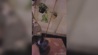 [207]- Lilc0smic (Cosmic aka CosmicCreatures) OnlyFans Leaks Freaky Lil Hippie and Full Time Brat Porn