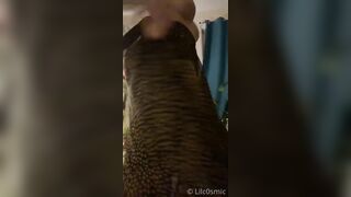 [176]- Lilc0smic (Cosmic aka CosmicCreatures) OnlyFans Leaks Freaky Lil Hippie and Full Time Brat Porn