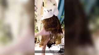 [176]- Lilc0smic (Cosmic aka CosmicCreatures) OnlyFans Leaks Freaky Lil Hippie and Full Time Brat Porn