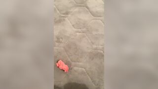 [18] Justhattie (hattieslay aka Hattie Slay) OnlyFans Leaks Lesbian sleepovers Porn 