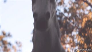 [68] Bunnyholez (Bunny Holez aka Coco Loca) OnlyFans Leaks Now is Playtime Porn 