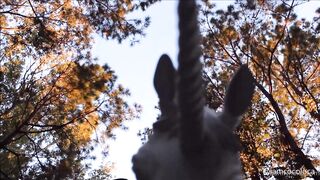 [68] Bunnyholez (Bunny Holez aka Coco Loca) OnlyFans Leaks Now is Playtime Porn 