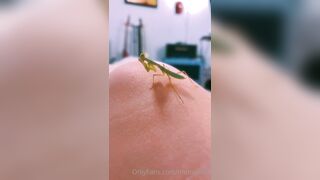 [231] ihatelaiika (LAIKAMusic aka Laika aka sleepylaika) OnlyFans Leaks CEO of Mental illness and Mommy Milkers