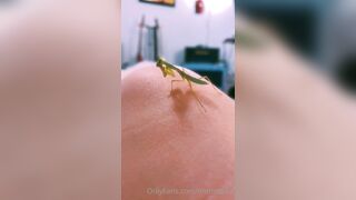 [231] ihatelaiika (LAIKAMusic aka Laika aka sleepylaika) OnlyFans Leaks CEO of Mental illness and Mommy Milkers