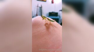 [231] ihatelaiika (LAIKAMusic aka Laika aka sleepylaika) OnlyFans Leaks CEO of Mental illness and Mommy Milkers