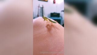 [231] ihatelaiika (LAIKAMusic aka Laika aka sleepylaika) OnlyFans Leaks CEO of Mental illness and Mommy Milkers