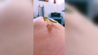 [231] ihatelaiika (LAIKAMusic aka Laika aka sleepylaika) OnlyFans Leaks CEO of Mental illness and Mommy Milkers