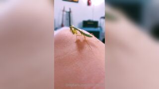 [231] ihatelaiika (LAIKAMusic aka Laika aka sleepylaika) OnlyFans Leaks CEO of Mental illness and Mommy Milkers