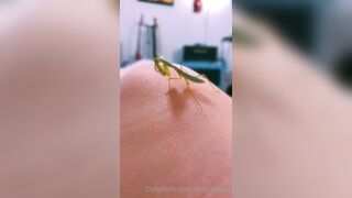 [231] ihatelaiika (LAIKAMusic aka Laika aka sleepylaika) OnlyFans Leaks CEO of Mental illness and Mommy Milkers