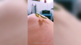 [231] ihatelaiika (LAIKAMusic aka Laika aka sleepylaika) OnlyFans Leaks CEO of Mental illness and Mommy Milkers