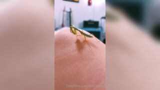 [231] ihatelaiika (LAIKAMusic aka Laika aka sleepylaika) OnlyFans Leaks CEO of Mental illness and Mommy Milkers