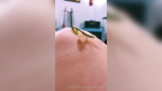 [231] ihatelaiika (LAIKAMusic aka Laika aka sleepylaika) OnlyFans Leaks CEO of Mental illness and Mommy Milkers