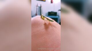 [231] ihatelaiika (LAIKAMusic aka Laika aka sleepylaika) OnlyFans Leaks CEO of Mental illness and Mommy Milkers