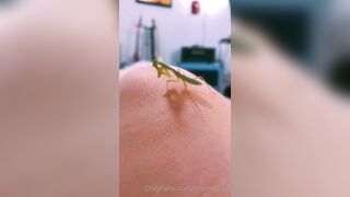 [231] ihatelaiika (LAIKAMusic aka Laika aka sleepylaika) OnlyFans Leaks CEO of Mental illness and Mommy Milkers