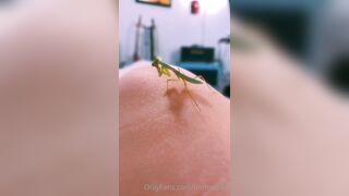 [231] ihatelaiika (LAIKAMusic aka Laika aka sleepylaika) OnlyFans Leaks CEO of Mental illness and Mommy Milkers