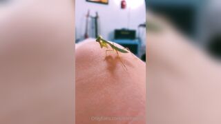 [231] ihatelaiika (LAIKAMusic aka Laika aka sleepylaika) OnlyFans Leaks CEO of Mental illness and Mommy Milkers