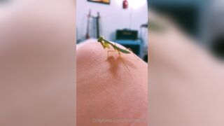 [231] ihatelaiika (LAIKAMusic aka Laika aka sleepylaika) OnlyFans Leaks CEO of Mental illness and Mommy Milkers