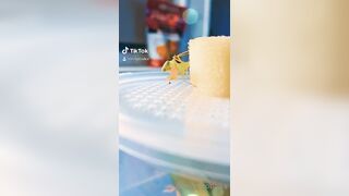 [235] ihatelaiika (LAIKAMusic aka Laika aka sleepylaika) OnlyFans Leaks CEO of Mental illness and Mommy Milkers