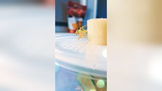 [235] ihatelaiika (LAIKAMusic aka Laika aka sleepylaika) OnlyFans Leaks CEO of Mental illness and Mommy Milkers