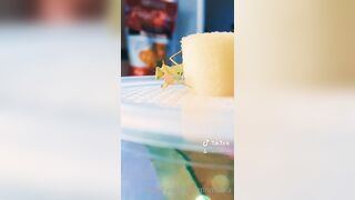 [235] ihatelaiika (LAIKAMusic aka Laika aka sleepylaika) OnlyFans Leaks CEO of Mental illness and Mommy Milkers