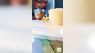 [235] ihatelaiika (LAIKAMusic aka Laika aka sleepylaika) OnlyFans Leaks CEO of Mental illness and Mommy Milkers