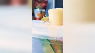 [235] ihatelaiika (LAIKAMusic aka Laika aka sleepylaika) OnlyFans Leaks CEO of Mental illness and Mommy Milkers