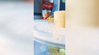 [235] ihatelaiika (LAIKAMusic aka Laika aka sleepylaika) OnlyFans Leaks CEO of Mental illness and Mommy Milkers